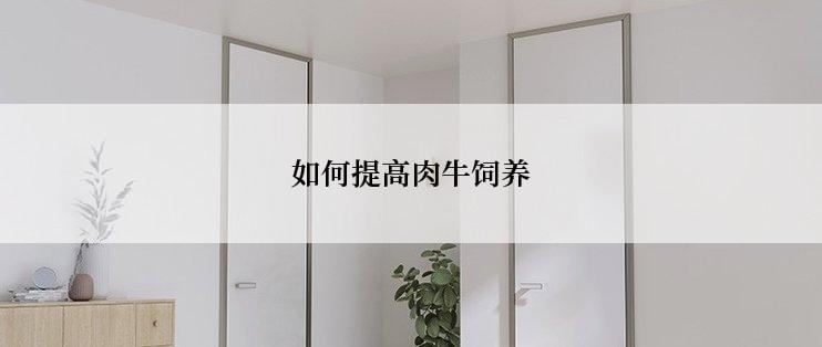 如何提高肉牛饲养