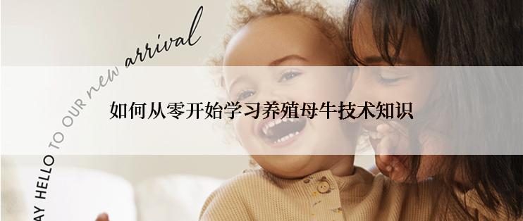 如何从零开始学习养殖母牛技术知识