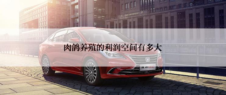 肉鸽养殖的利润空间有多大