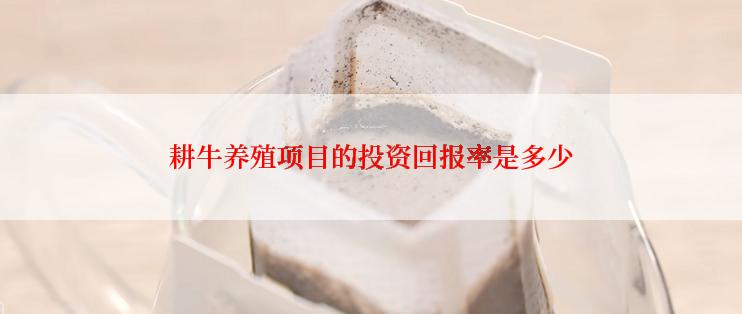 耕牛养殖项目的投资回报率是多少