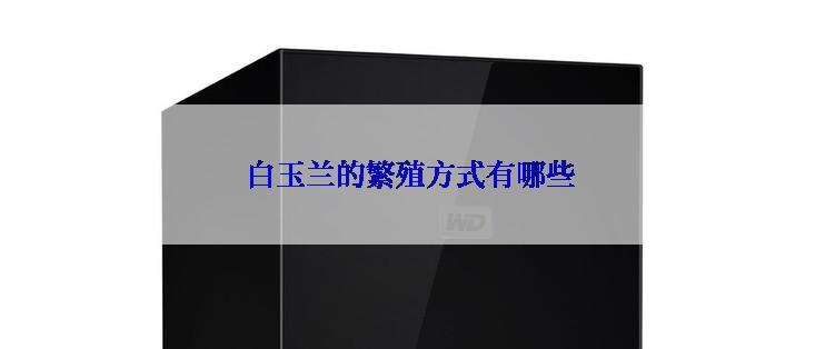 白玉兰的繁殖方式有哪些