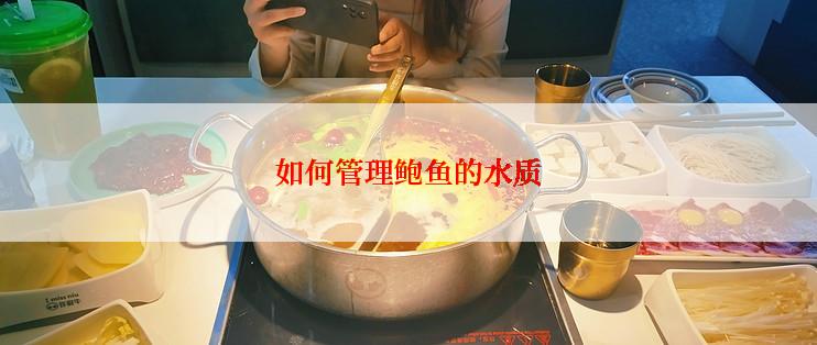 如何管理鲍鱼的水质