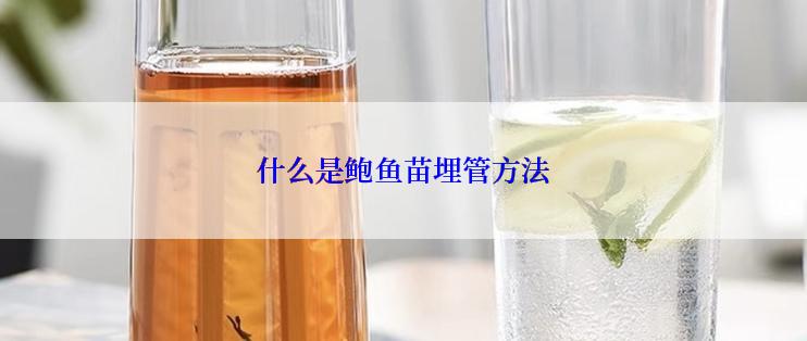 什么是鲍鱼苗埋管方法