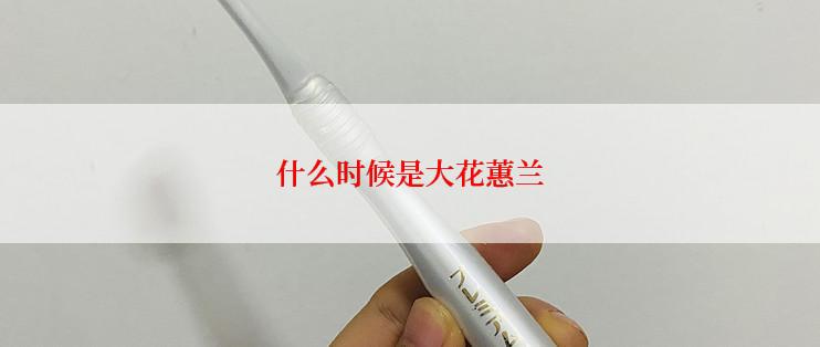 什么时候是大花蕙兰