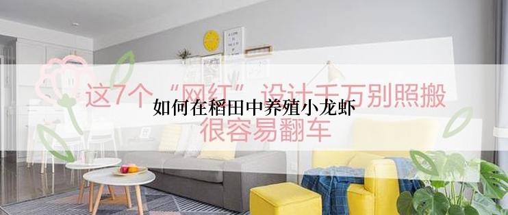 如何在稻田中养殖小龙虾