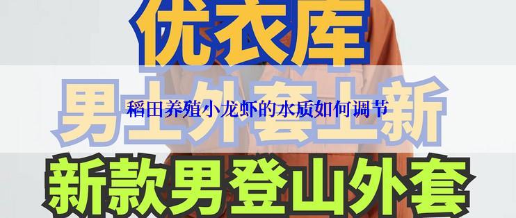 稻田养殖小龙虾的水质如何调节