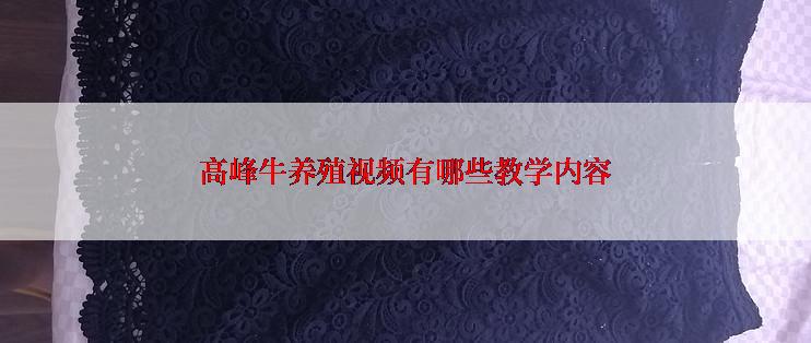 高峰牛养殖视频有哪些教学内容
