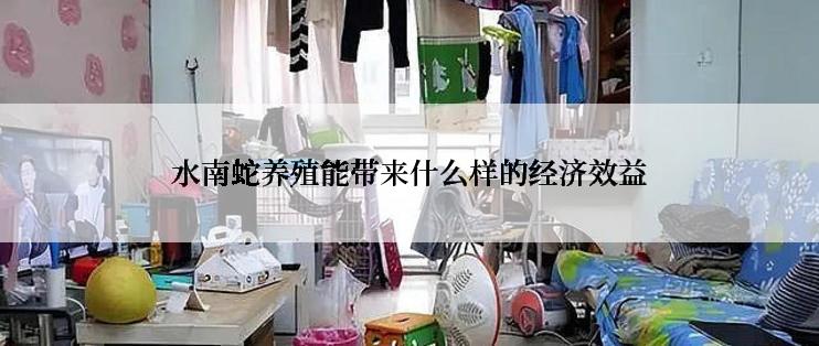 水南蛇养殖能带来什么样的经济效益