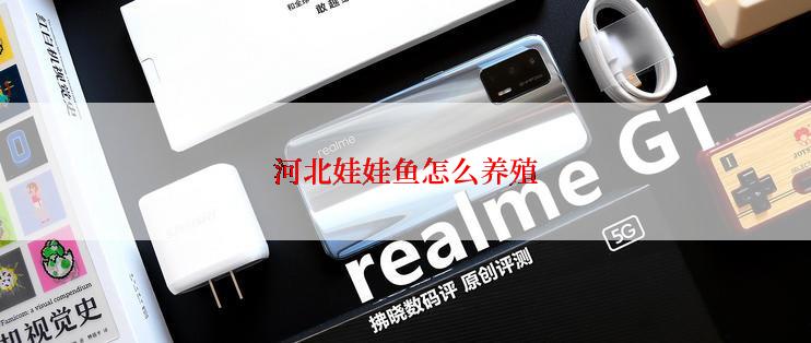 河北娃娃鱼怎么养殖