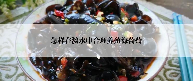 怎样在淡水中合理养殖海葡萄