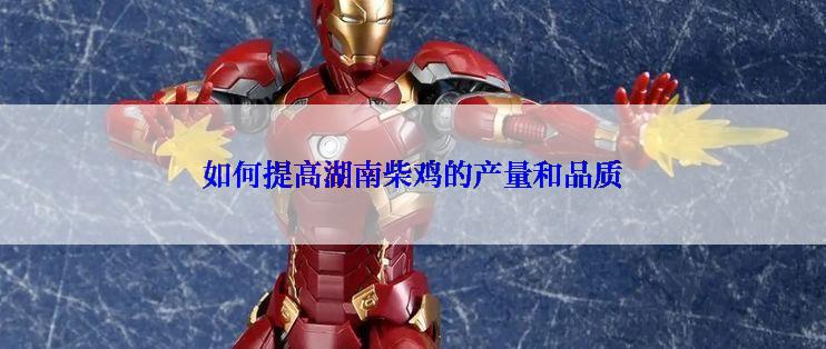 如何提高湖南柴鸡的产量和品质