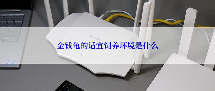 金钱龟的适宜饲养环境是什么