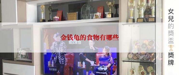 金钱龟的食物有哪些