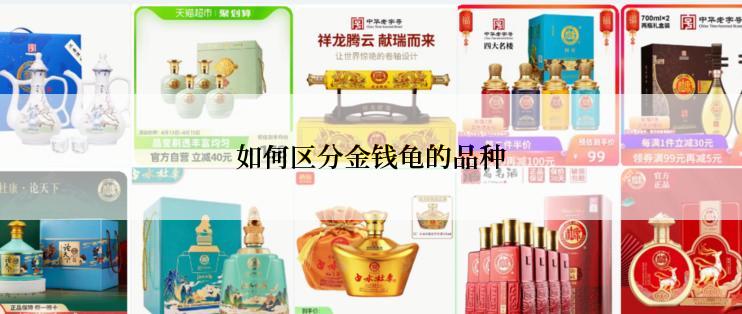 如何区分金钱龟的品种