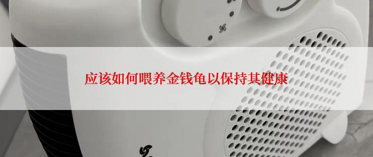 应该如何喂养金钱龟以保持其健康