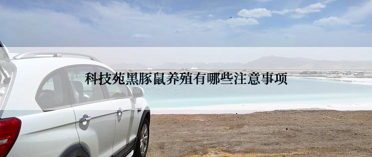 科技苑黑豚鼠养殖有哪些注意事项