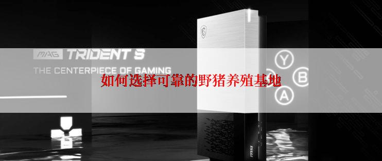 如何选择可靠的野猪养殖基地