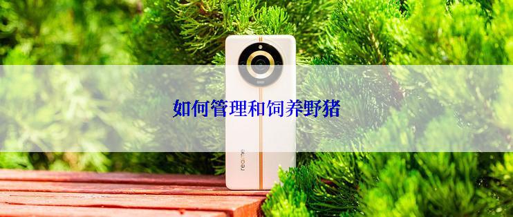 如何管理和饲养野猪
