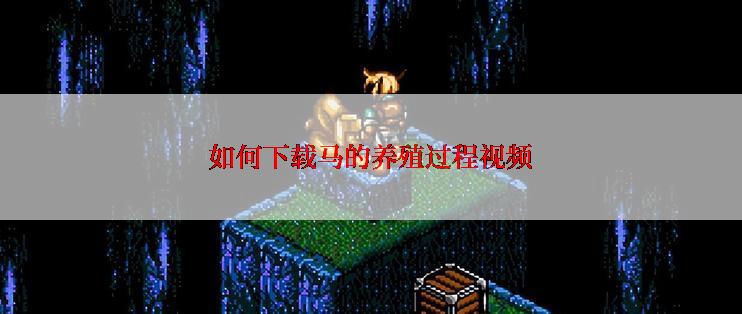 如何下载马的养殖过程视频