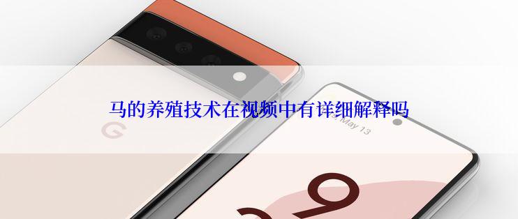 马的养殖技术在视频中有详细解释吗
