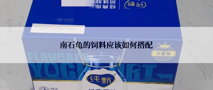 南石龟的饲料应该如何搭配
