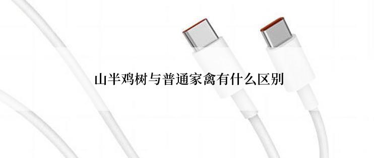  山半鸡树与普通家禽有什么区别