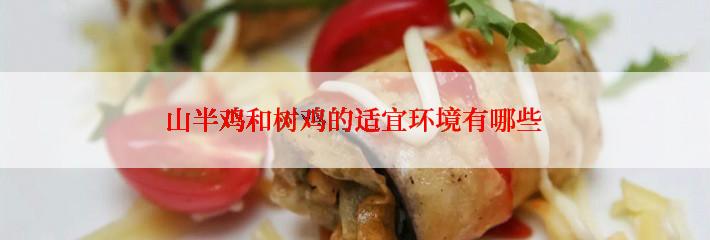 山半鸡和树鸡的适宜环境有哪些