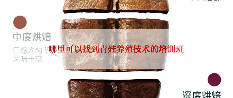 哪里可以找到青娃养殖技术的培训班