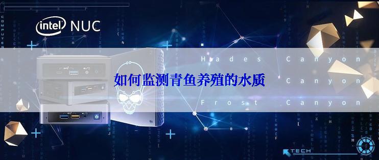 如何监测青鱼养殖的水质