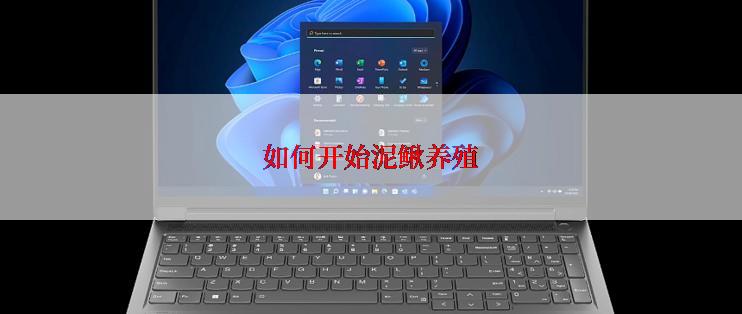 如何开始泥鳅养殖