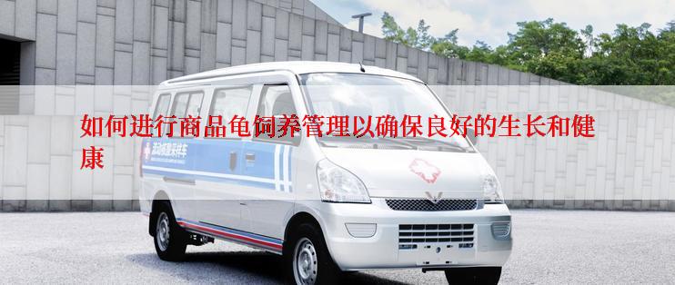 如何进行商品龟饲养管理以确保良好的生长和健康