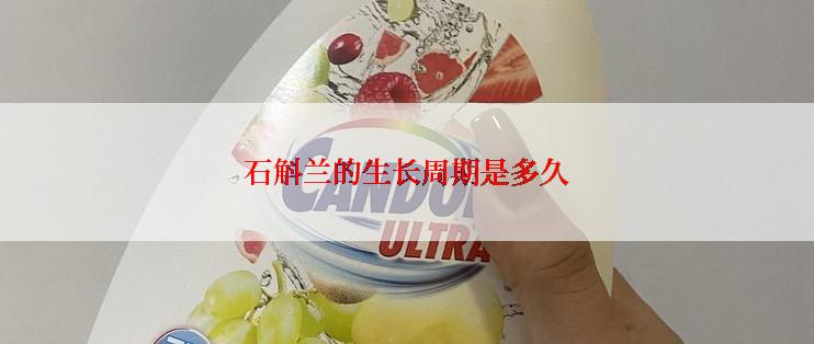 石斛兰的生长周期是多久