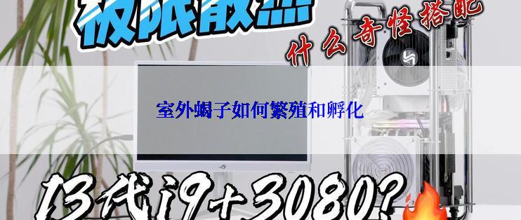 室外蝎子如何繁殖和孵化