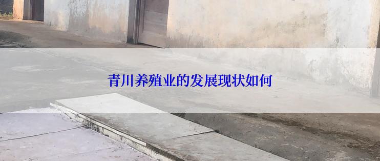 青川养殖业的发展现状如何