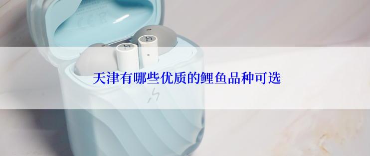  天津有哪些优质的鲤鱼品种可选