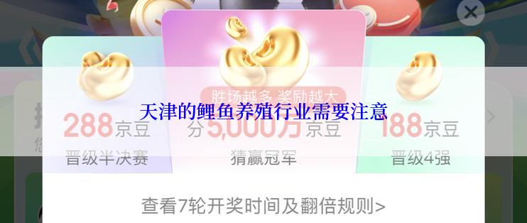 天津的鲤鱼养殖行业需要注意