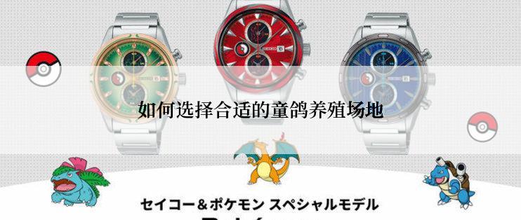 如何选择合适的童鸽养殖场地