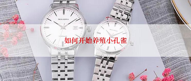 如何开始养殖小孔雀