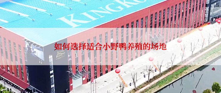 如何选择适合小野鸭养殖的场地