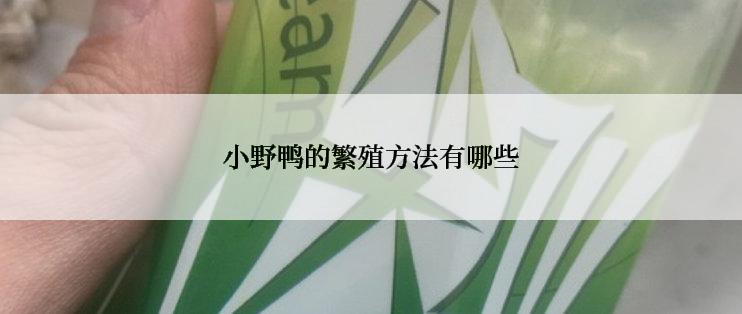 小野鸭的繁殖方法有哪些