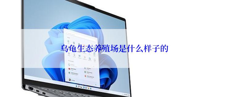 乌龟生态养殖场是什么样子的