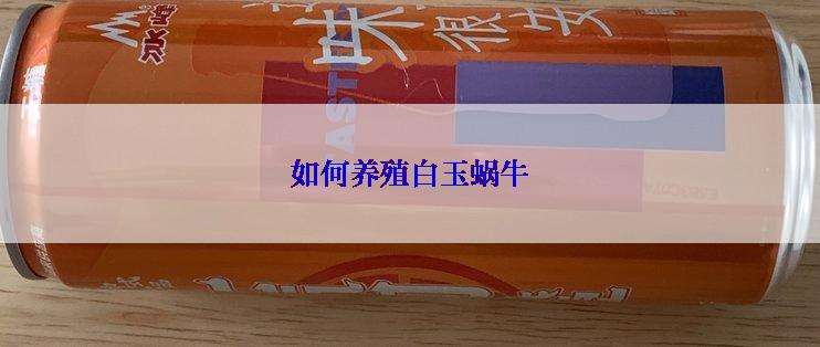 如何养殖白玉蜗牛