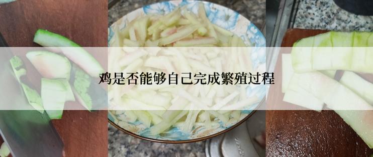 鸡是否能够自己完成繁殖过程