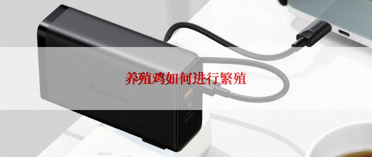 养殖鸡如何进行繁殖