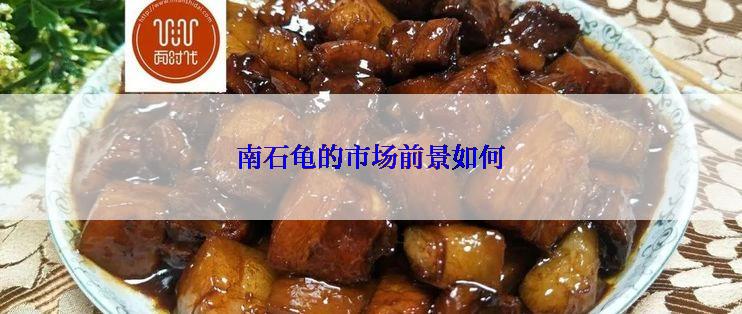 南石龟的市场前景如何