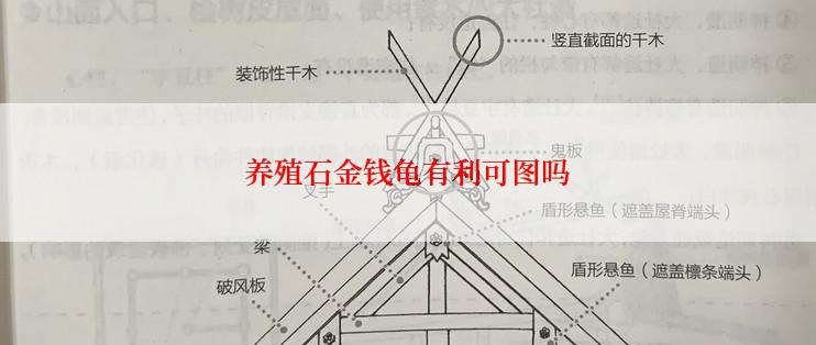 养殖石金钱龟有利可图吗