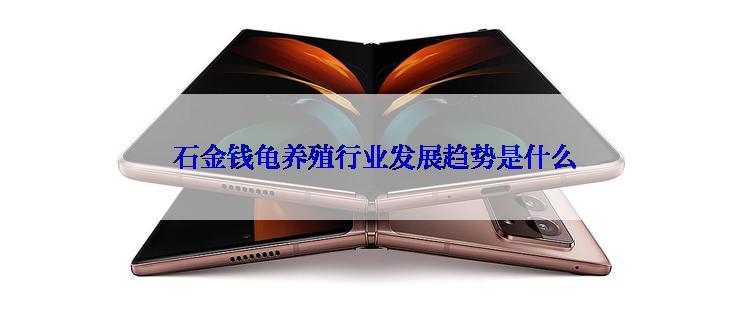 石金钱龟养殖行业发展趋势是什么