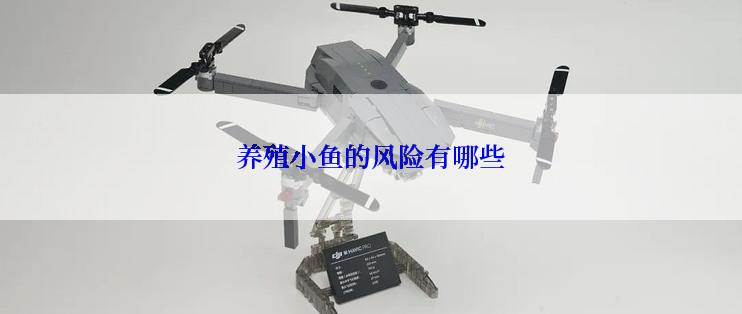 养殖小鱼的风险有哪些