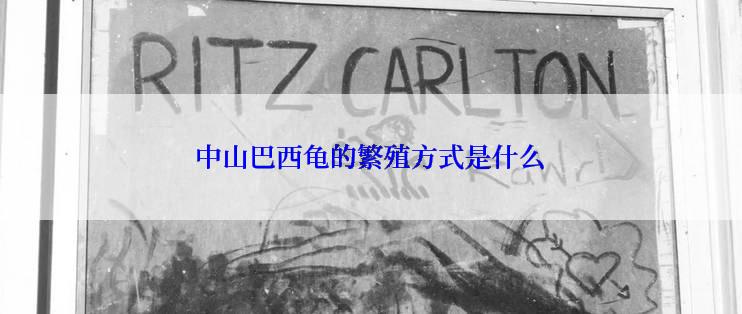 中山巴西龟的繁殖方式是什么