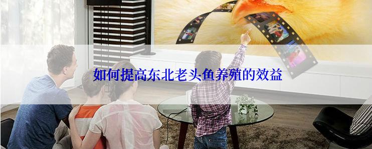  如何提高东北老头鱼养殖的效益